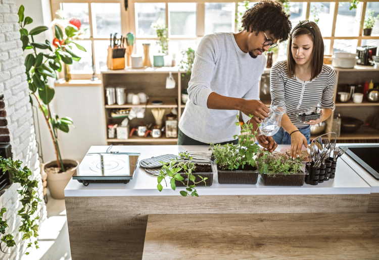 Defender Insignts Foods That Are So Easy To Grow at Home You'll Never Buy Them at the Store Again
