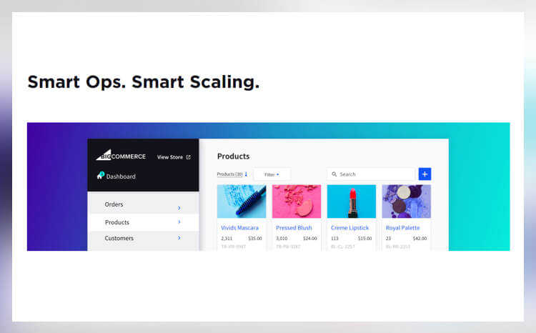 BigCommerce Best Ecommerce Builders
