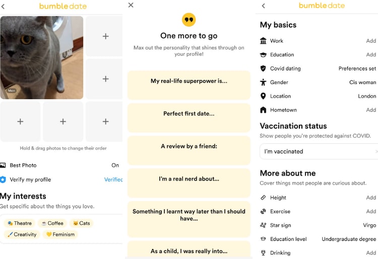 Bumble Dating Review - Setting Up